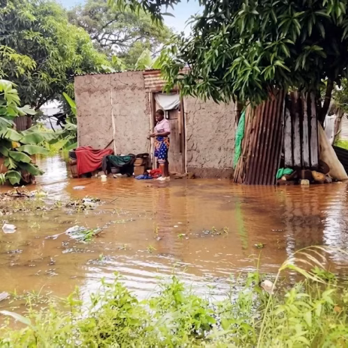 Chuvas intensas desalojam famílias e destroem casas em Xai-Xai
