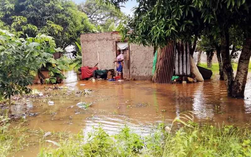 Chuvas intensas desalojam famílias e destroem casas em Xai-Xai